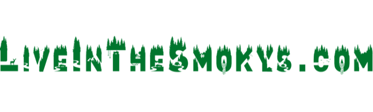 Company Name